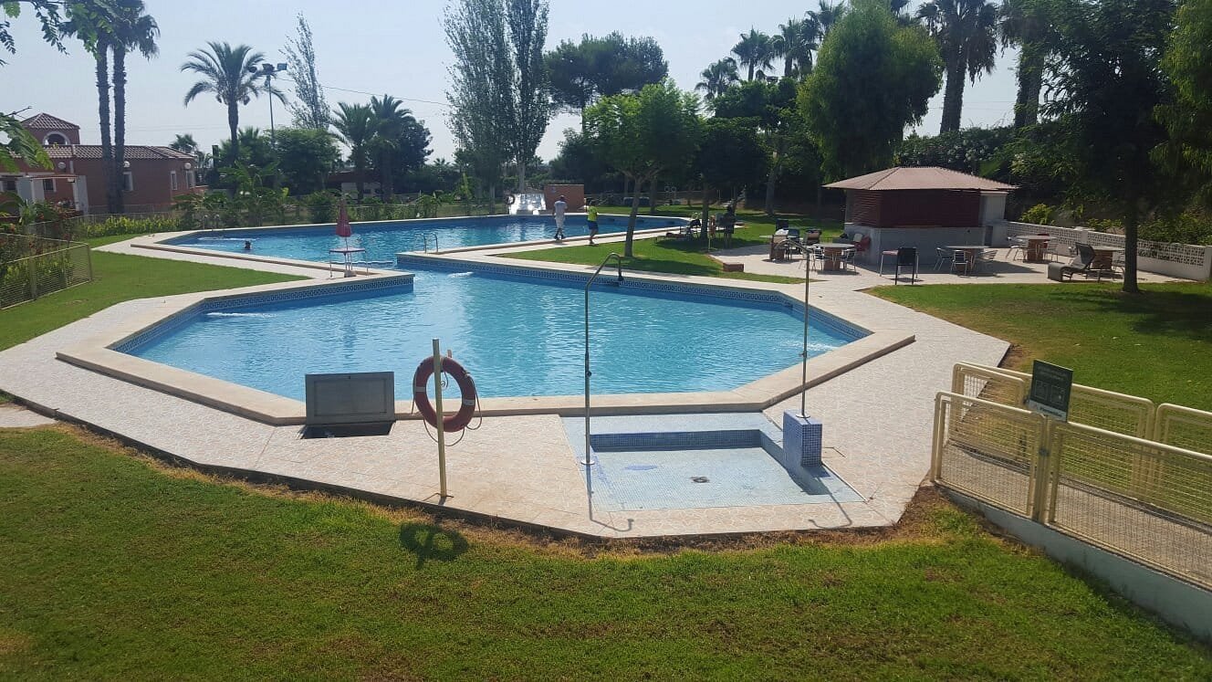 Piscina del camping con zona verde y palmeras en Torrevieja