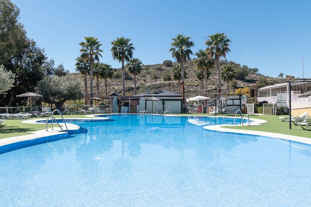 Piscina de camping rodeada de palmeras y zonas de descanso para viajeros en autocaravana
