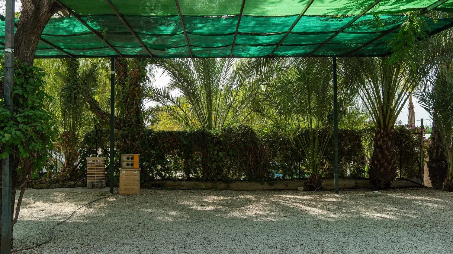 Parcela amplia en Camping Las Palmeras Crevillent con suelo de grava, sombra mediante malla verde y vegetación tropical alrededor