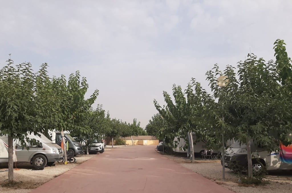 Parcelas con autocaravanas y campers en camping de la Costa Blanca
