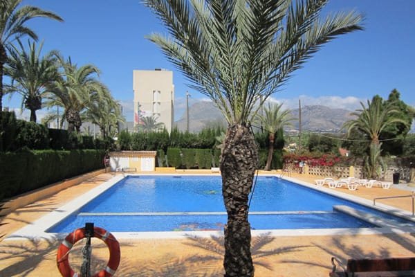 Piscina exterior de camping rodeada de palmeras, césped y zona de tumbonas con vistas a las montañas