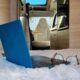 Autocaravana Sky Roof para 4 personas en Alicante